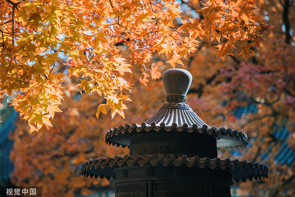 香山公园