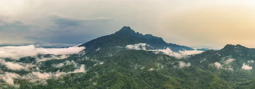 五指山