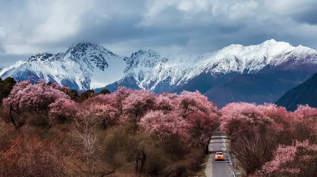 林芝桃花沟
